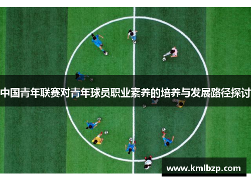 中国青年联赛对青年球员职业素养的培养与发展路径探讨