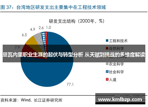 恩瓦内里职业生涯的起伏与转型分析 从天赋到挑战的多维度解读