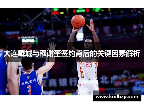 大连鲲城与穆谢奎签约背后的关键因素解析