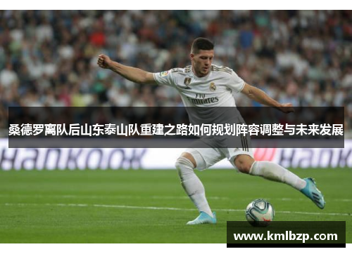 桑德罗离队后山东泰山队重建之路如何规划阵容调整与未来发展